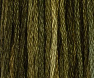 FOXTAIL FERN M71A