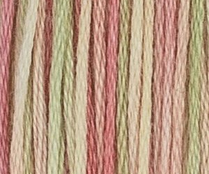 GLADIOLAE M77A