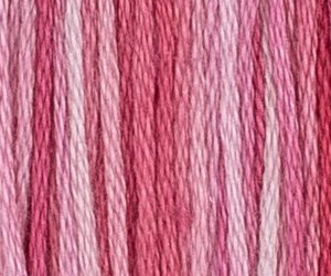 CAMELIA 35C