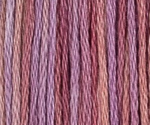 AJUGA M83C