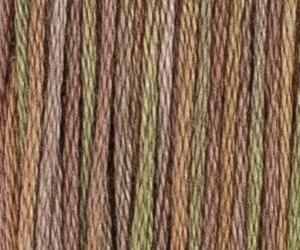 CLOVES M55C