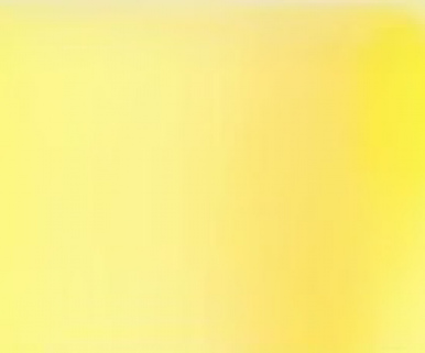 38mm Organza nr 55 Custard
