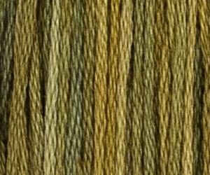 FOXTAIL FERN M71C