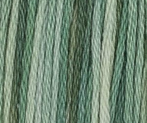 PERWINKLE M7A