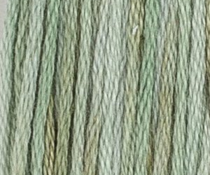 CABBAGE M30C